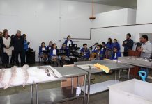 Pescadores de Caleta Anahuac de Puerto Montt cuentan con su propia Sala de Ventas.