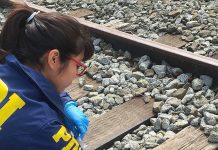 Un homicidio y la muerte de un hombre por inhalación de gas investiga la PDI en Puerto Montt.