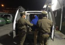 Carabineros de Frutillar da un fuerte golpe al abigeato