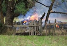 Nuevo ataque incendiario afectó a tres casas y dos galpones en la Araucanía
