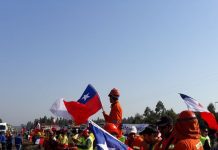 Con masiva protesta, trabajadores y empresarios forestales exigen al Gobierno más seguridad