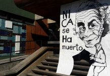 Osorno y Puerto Montt conmemoran el Día Mundial del Libro