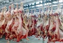 Dos grandes empresas cárnicas brasileñas serían multadas en US$3,8 millones por fusión sin autorización.