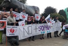 Voceros movimiento Ley Sophie en la región reconocen pérdida de adhesión ciudadana a tres meses de la muerte de la menor
