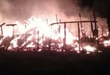 Nuevo ataque incendiario en La Araucanía. Desconocidos queman galpones y maquinaría forestal en fundo de Lautaro