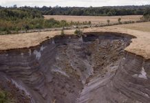 Seremi de Obras Públicas llamó a la tranquilidad tras inspeccionar socavón cercano a la ruta 5 en la comuna de Dalcahue