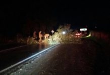 Sujetos levantaron barricadas en la ruta U-400 cercano a Osorno. Se habrían encontrado panfletos por causa mapuche
