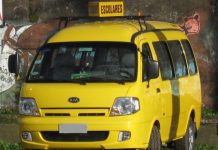 Vecinos de sector rural en Puerto Octay acusan falta de furgones escolares para transportar niños