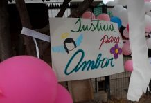 Corporación Ley Sophie Chile cuenta borrador de cuerpo legal para endurecer penas en crímenes contra menores