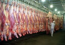 Federación de sindicatos de la carne preocupada por estabilidad del empleo