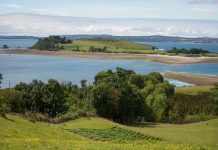 Vecinos de Isla Maillen encuentran positivas respuestas en autoridades de transportes