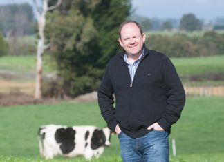 PTI Carne Bovina consolida gobernanza en Los Lagos: sector busca frenar caída de masa ganadera nacional