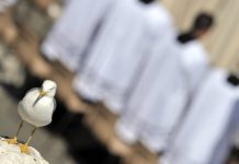 En forma exclusiva revelan nuevos abusos al interior de la Iglesia católica en Rancagua