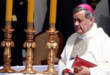 Habló Barros: «Un obispo tiene que estar disponible a lo que oriente el Santo Padre»