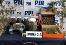 PDI incauta 4Kg de marihuana en San Juan de la Costa