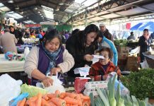 Minsal fiscalizó venta ilegal de medicamentos en Feria Pedro Aguirre Cerda de Osorno