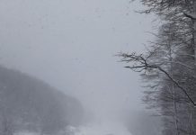 Intensas nevazones obligaron a suspender el paso de camiones en Samoré