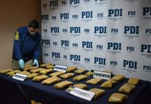Incautan 27 kilos de marihuana tras control vehicular en Osorno