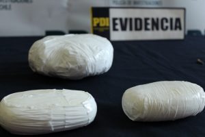 Can de la PDI logró detención de hombre que transportaba droga al interior de un bus en la ruta 5 sur 