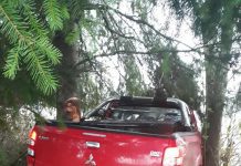 Escarcha provocó accidentes de transito con fallecidos en Frutillar