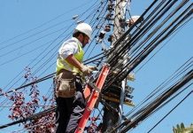 Prolongado corte de energía molestó a clientes de SAESA, sector rural de Osorno