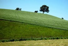 Invierno será bueno para agricultores. INIA llama a no confiarse