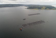 Ministerio del Medio Ambiente pide al CDE demandar a salmonera por daño ambiental