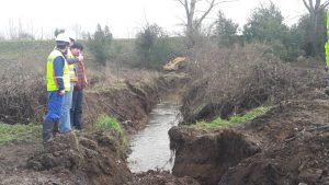 Alerta Roja: El día después del sistema frontal en la provincia de Osorno