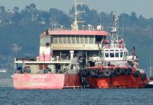 Corte de Apelaciones acogió recurso de protección presentando contra buque Seikongen