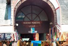 Millonaria inversión para mejoramiento del Mercado Lillo de Castro