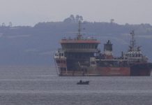 Permanencia de buque Seikongen en Puerto Montt preocupa autoridad de salud