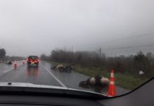 Temporal deja secuela de accidentes y emergencias en la región
