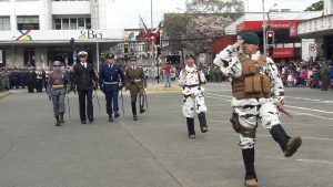 Las imágenes que dejó el desfile civico-militar en Osorno