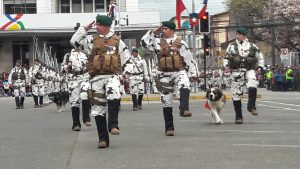 Las imágenes que dejó el desfile civico-militar en Osorno