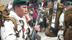 Las imágenes que dejó el desfile civico-militar en Osorno