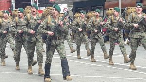 Las imágenes que dejó el desfile civico-militar en Osorno