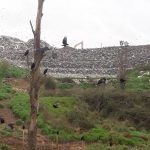 WhatsApp Image 2018-09-16 at 19.49.04