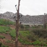 WhatsApp Image 2018-09-16 at 19.49.04 (2)