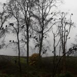 WhatsApp Image 2018-09-16 at 19.49.04 (3)