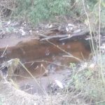 WhatsApp Image 2018-09-16 at 19.49.05 (2)