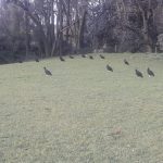 WhatsApp Image 2018-09-16 at 19.49.05 (4)