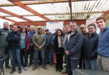 Lanzan programa de desarrollo de proveedores para mejorar la calidad de la avena