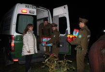 Clausuraron y Decomisaron Alcohol en Fiesta Clandestina en Puerto Montt