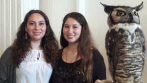 2da versión de Expo Florece se vive en Osorno