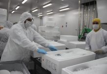 Crecimiento regional del tercer trimestre: Maule, Los Lagos y Aysén lideran