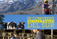 Este 29 de noviembre Osorno será sede del lll Congreso de Cooperativas