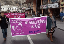 Senado aprobó 2.500 millones para atender a «guatitas de delantal»