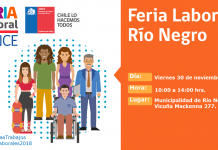 Más de 2.000 puestos de trabajo ofrecerá Feria Laboral del Sence en Río Negro