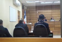 Justicia absuelve a ejecutivo de Manuka vinculado a matanza de mil 500 terneros