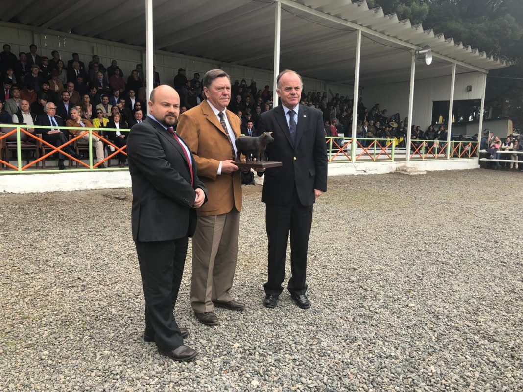 WhatsApp Image 2018-11-16 at 09.43.32